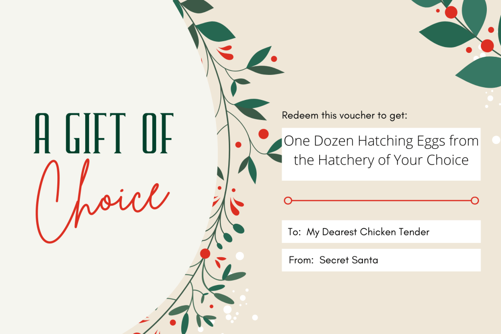 Christmas gift card example for one dozen hatching eggs, written to my dearest chicken tender from secret santa