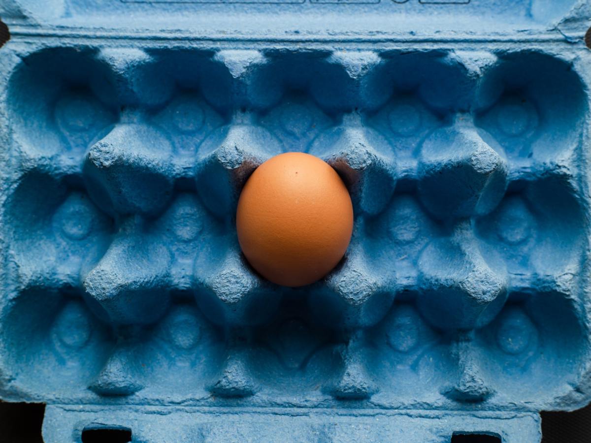 Not Seeing Eggs Yet?  You Might Not Be Using The Best Feed For Laying Hens