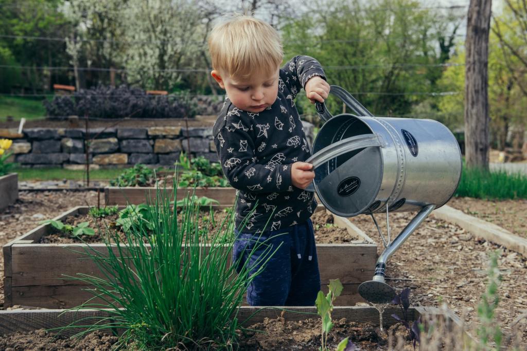 A small boy watering a raised garden bed