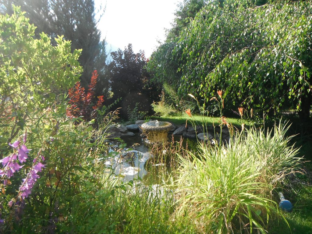 No Garden is Too Big or Too Small To Contribute to Biodiversity